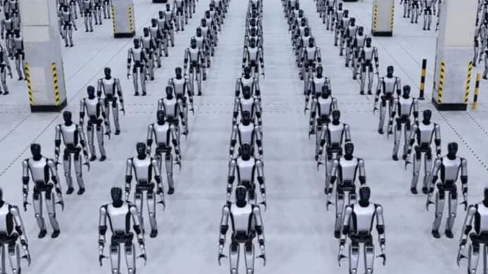Robos chineses