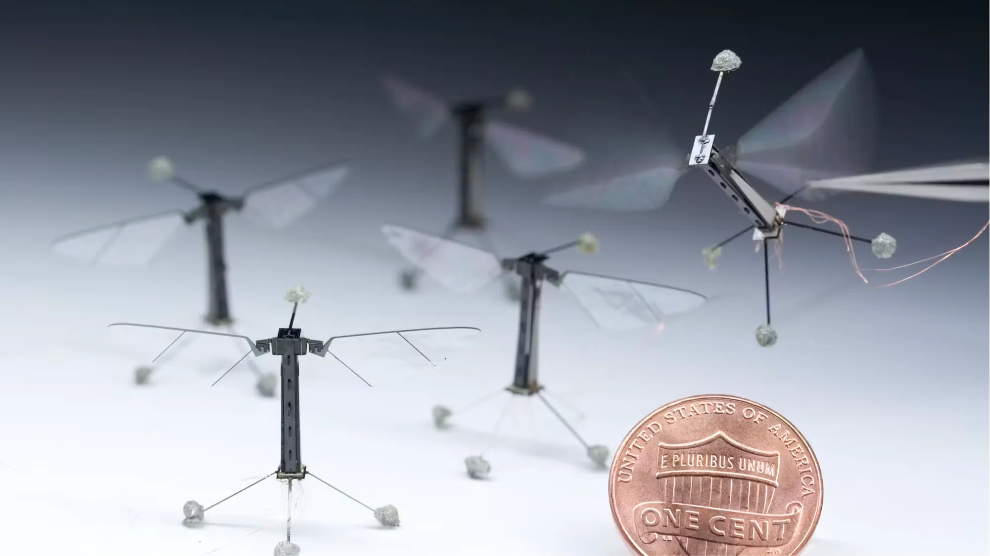 Robobee